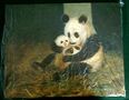 pandas--grisot-panda3.jpg (JPEG)