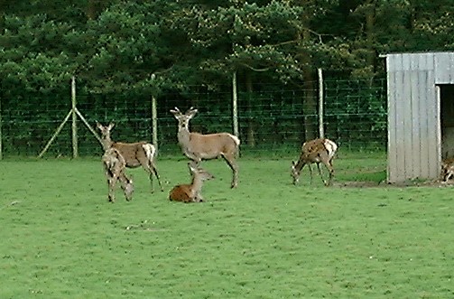 DSCF0058.JPG