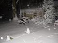 snow53-0130.jpg (JPEG)