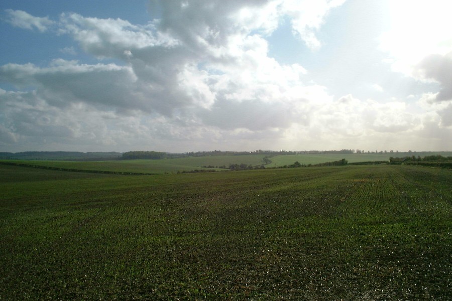 bygrave-fields01.jpg