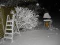 snow52-0130.jpg (JPEG)