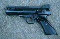 webley.jpg (JPEG)