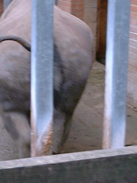 DSCF0048.JPG
